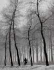When winter knocks on the door ... Art Print