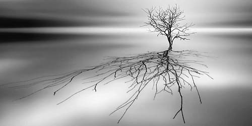 Even The Dead Cast Shadows Art Print by Leif Londal