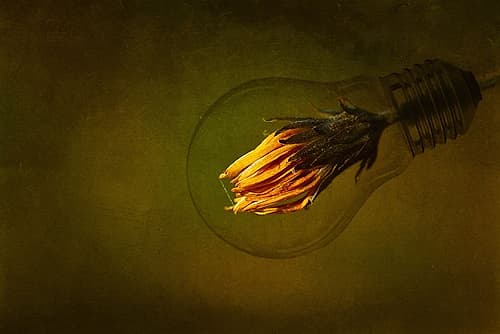Back to the green future Art Print