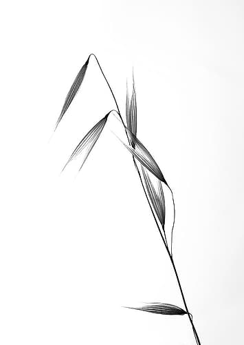 siluetas Art Print