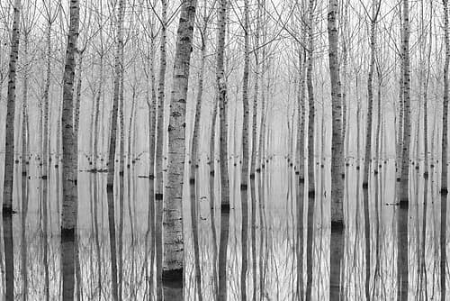 Novembre 2014 Art Print