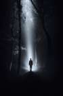Surreal Forest At Night Art Print