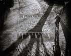 Shadow Art Print