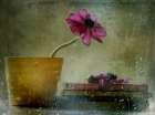 A Day To Stay At Home Art Print