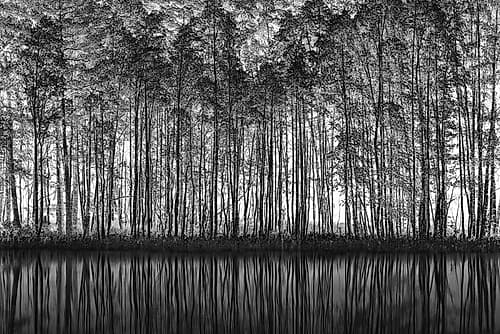 Pointillism Nature Art Print