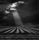 The secure ground of home ... Art Print