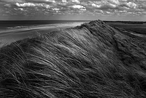 Dunes Hair. Coastal Print