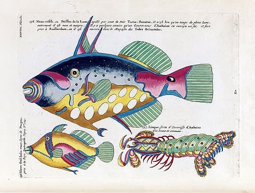 Poisson de la Lune Art Print