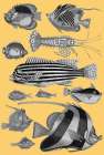 Tropical Fish Collage 1-Yellow Background Art Print
