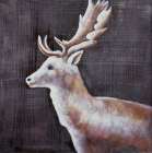 DEER PROFILE VIEW IN THE DARK Art Print