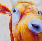 Curious Colorful Cow Art Print