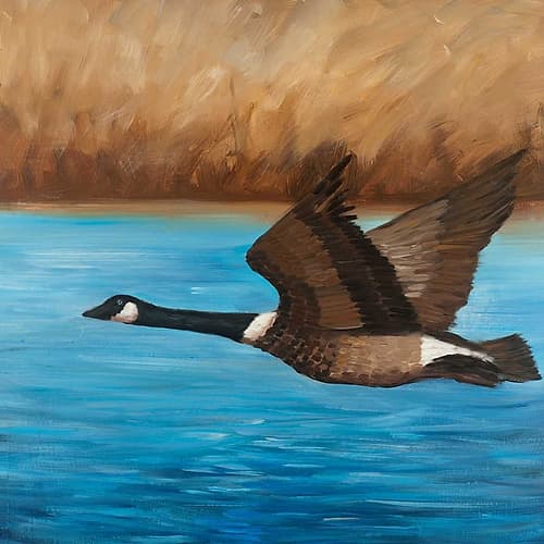 Flying Bustard Art Print by Atelier B Art Studio