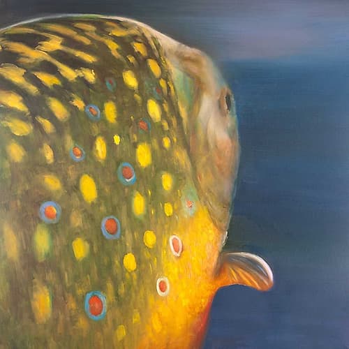 Golden Trout Fish Art Print