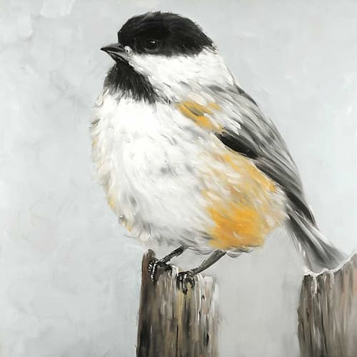 Coal Tit Bird Art Print by Atelier B Art Studio