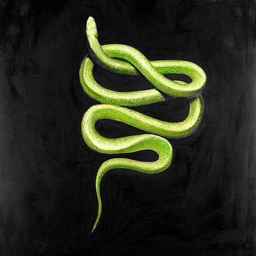 Green Snake Art Print by Atelier B Art Studio