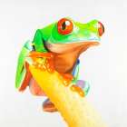 Curious Red-eyed Frog Art Print