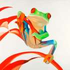 Red-eyed Frog Art Print