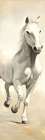 Gallant White Horse Art Print