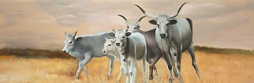 Nguni Cattle Art Print by Atelier B Art Studio