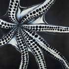 LARGE OCTOPUS TENTACLE Art Print