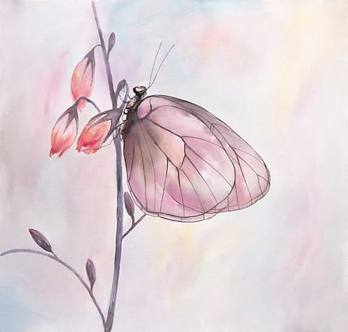 Watercolor Butterfly Art Print by Atelier B Art Studio