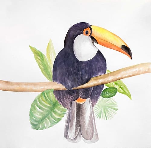 Toucan Bird Art Print by Atelier B Art Studio