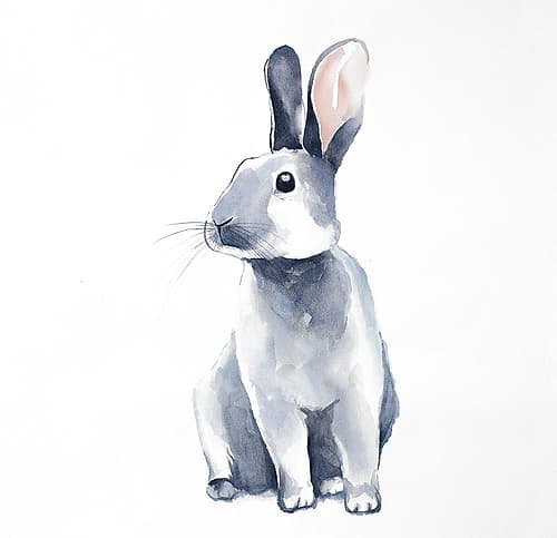Curious Rex Rabbit Art Print by Atelier B Art Studio