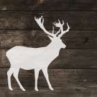 Left Side Deer Silhouette on Wood Art Print