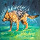 SPIN-DRY WET GERMAN SHEPHERD Art Print