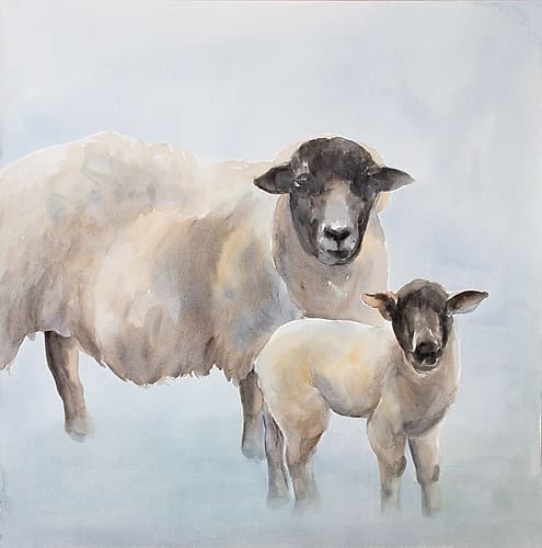 Sheep with a Lamb Art Print