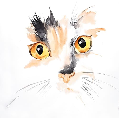 WATERCOLOR CAT FACE CLOSEUP Art Print by Atelier B Art Studio
