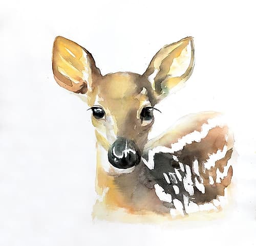 WATERCOLOR FAWN FACE Art Print by Atelier B Art Studio