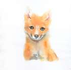 WATERCOLOR SMILING FOX Art Print