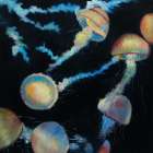 COLORFUL JELLYFISHES IN THE DARK Art Print
