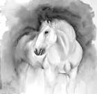 BEAUTY Art Print