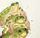 THREE AQUATIC TURTLES Art Print