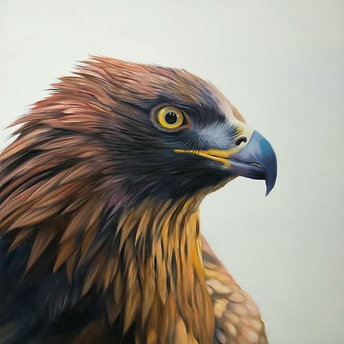BROWN-HEADED EAGLE Art Print by Atelier B Art Studio