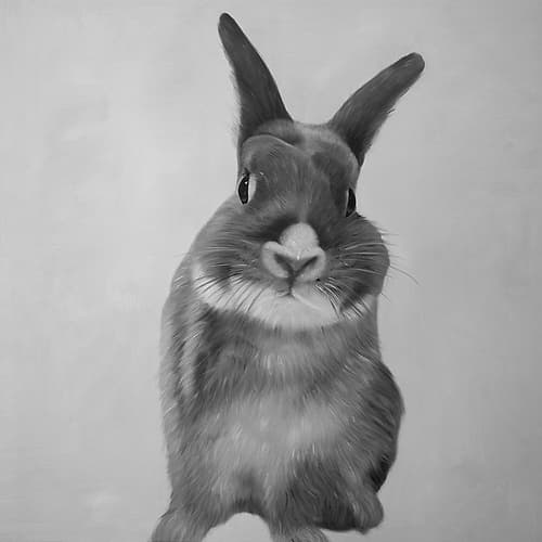 FUNNY GRAY RABBIT Art Print