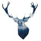DEER HEAD LANDSCAPE Art Print