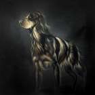 PICARD SPANIEL Art Print