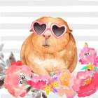 GUINEA PIG WITH GLASSES Art Print