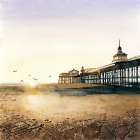 SUNSET AT THE BEACH Art Print