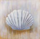 Feston Shell Art Print