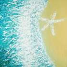 Right Side Seastar and a Wave Art Print