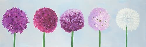 DALIA PONPOM Art Print by Atelier B Art Studio