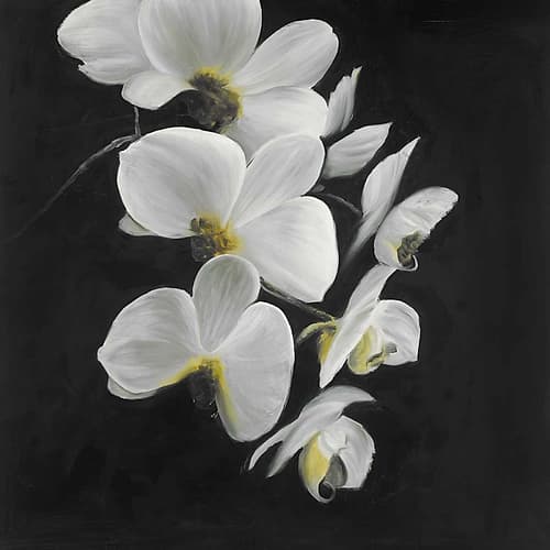 Beautiful Orchids Art Print by Atelier B Art Studio