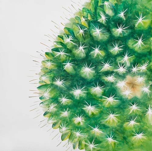 Watercolor Mini Cactus Art Print by Atelier B Art Studio