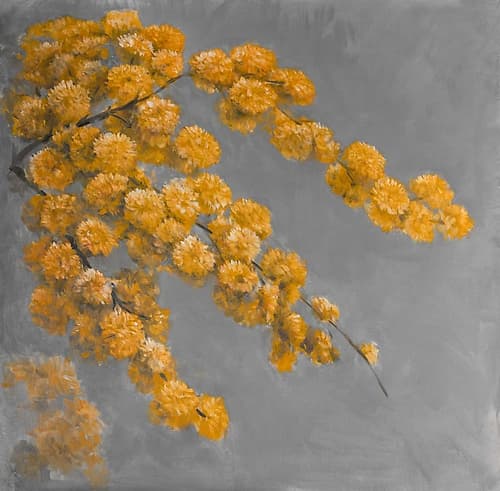 Golden Wattle Plant with Flowers Art Print by Atelier B Art Studio