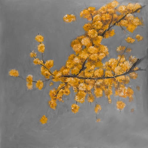 Golden Wattle Plant with Pugg Ball Flowers Art Print by Atelier B Art Studio