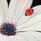 White Daisy and Ladybug Art Print